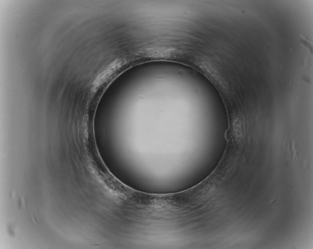 X0000102220682200808011203