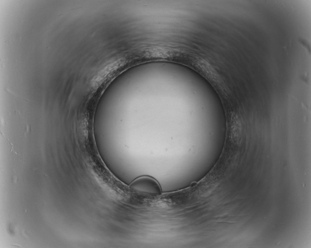 X0000102220683200808011203