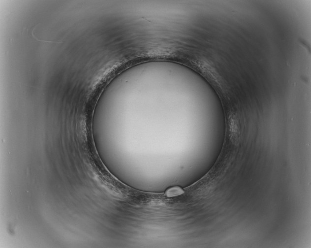 X0000102220684200808011203