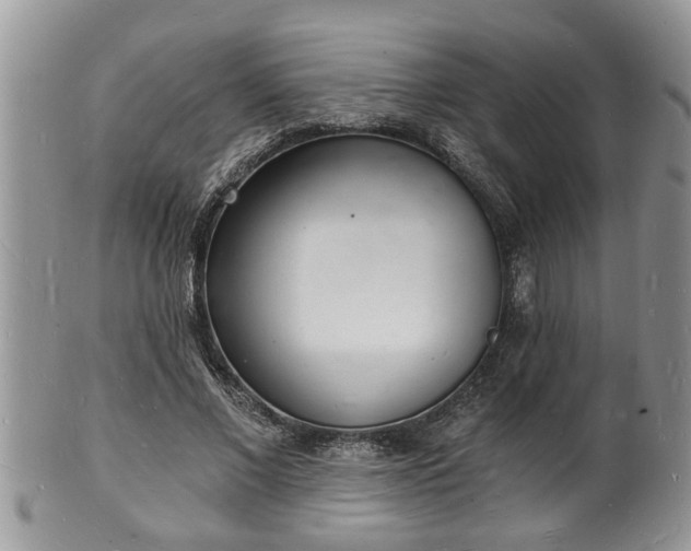 X0000102220685200808011203