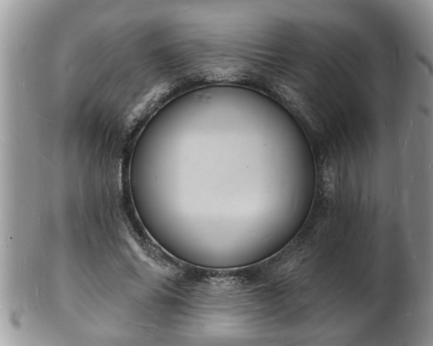 X0000102220686200808011203