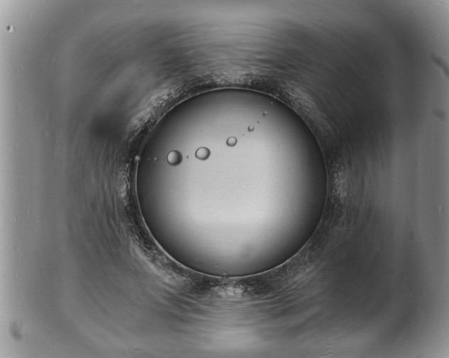 X0000102220687200808011203