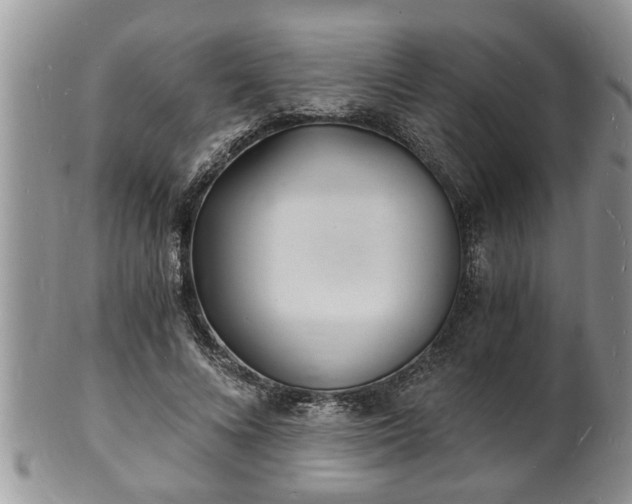 X0000102220688200808011203