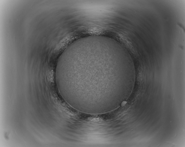 X0000102220689200808011203