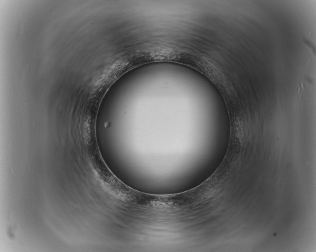 X0000102220690200808011203