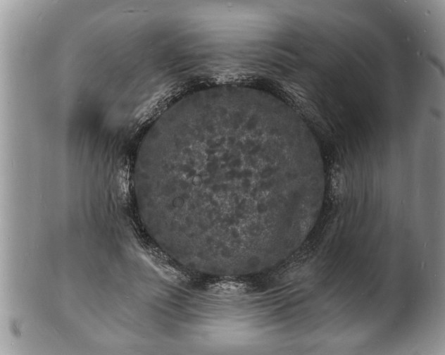 X0000102220691200808011203