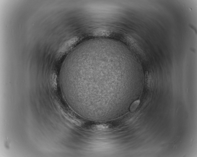 X0000102220692200808011202