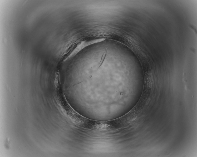 X0000102220695200808011202