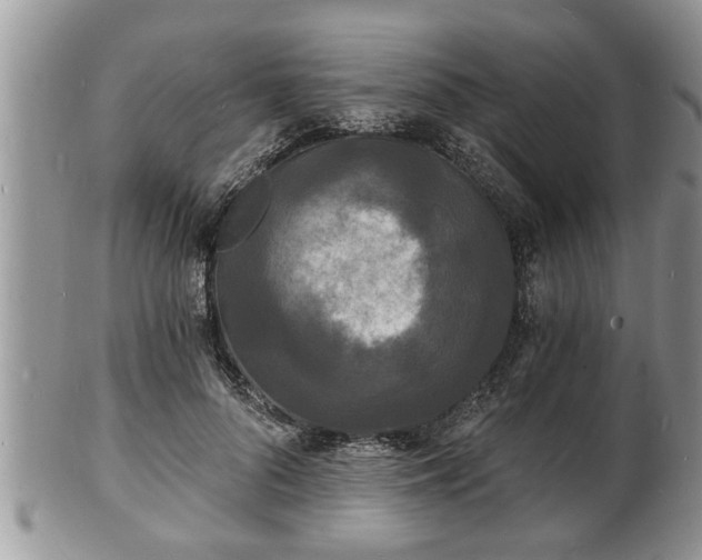 X0000102220696200808011202