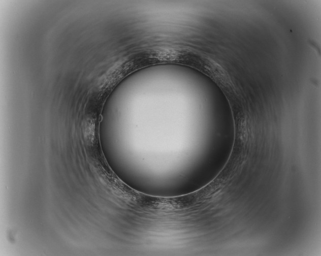 X0000102220697200808011202