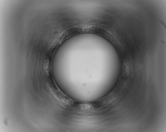 X0000102220698200808011202