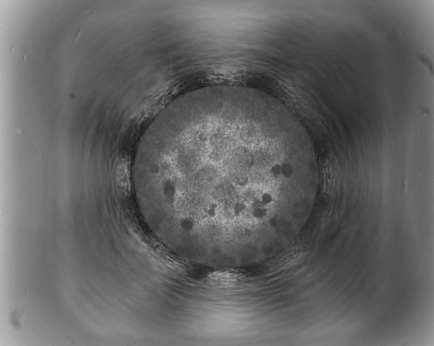 X0000102220699200808011202