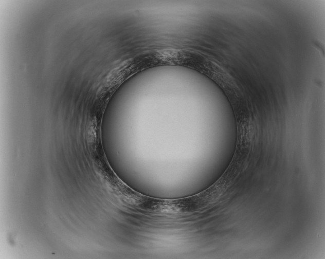 X0000102220702200808011202