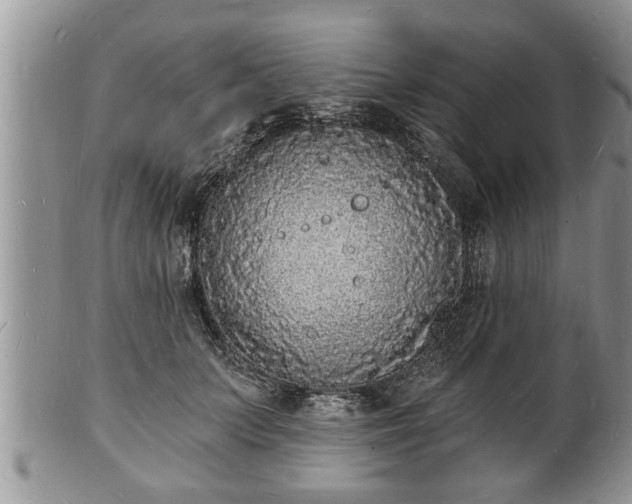 X0000102220703200808011202