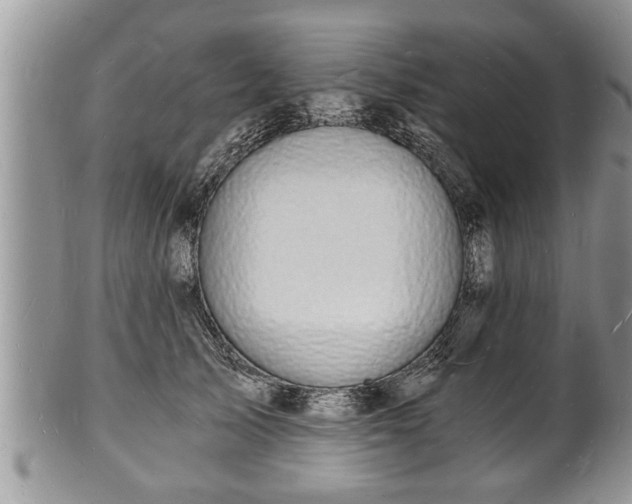 X0000102220705200808011202