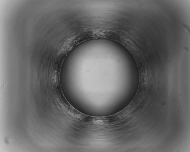 X0000102220706200808011202