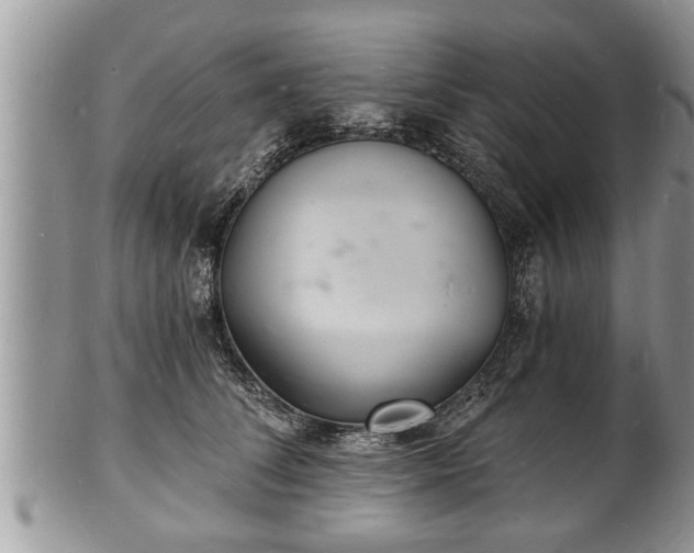 X0000102220708200808011202