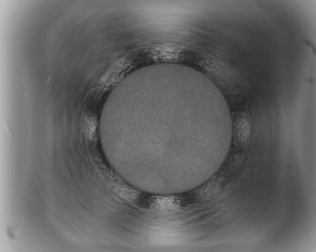 X0000102220709200808011202