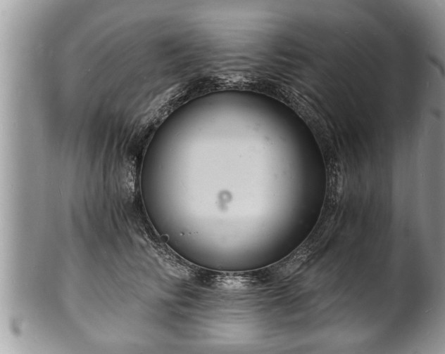 X0000102220710200808011202