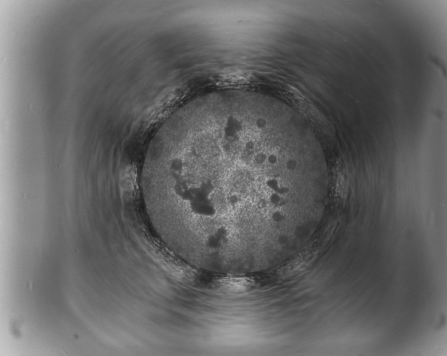 X0000102220711200808011202