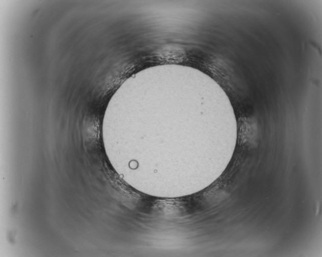 X0000102220713200808011202