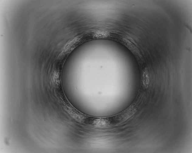 X0000102220714200808011202