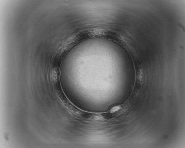 X0000102220715200808011202