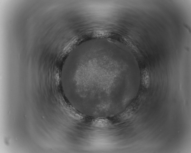 X0000102220716200808011202