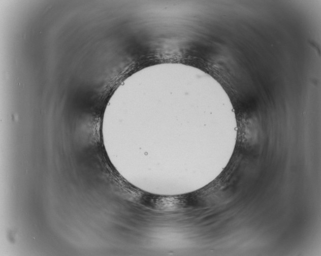 X0000102220717200808011202