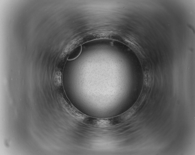 X0000102220718200808011202