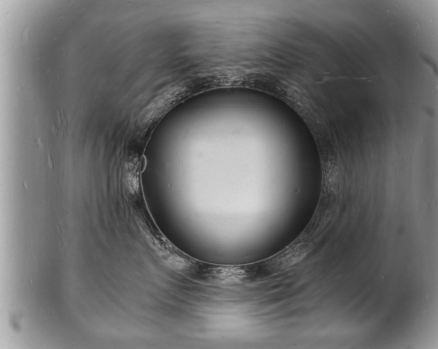 X0000102220719200808011202