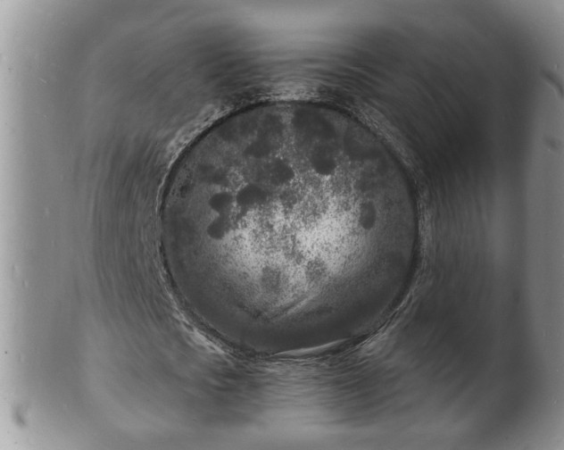 X0000102220721200808011201