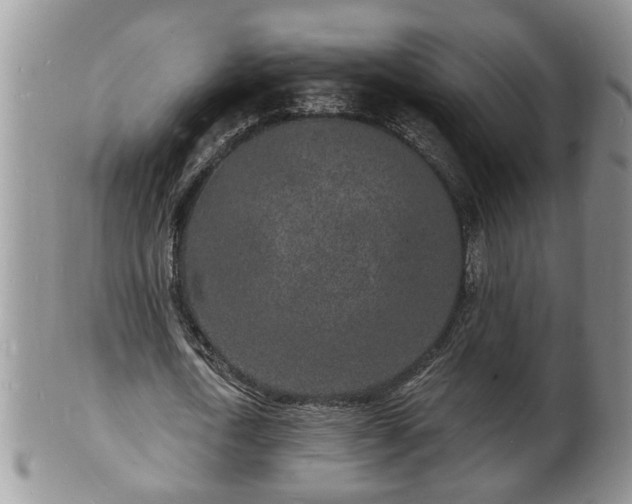 X0000102220722200808011201