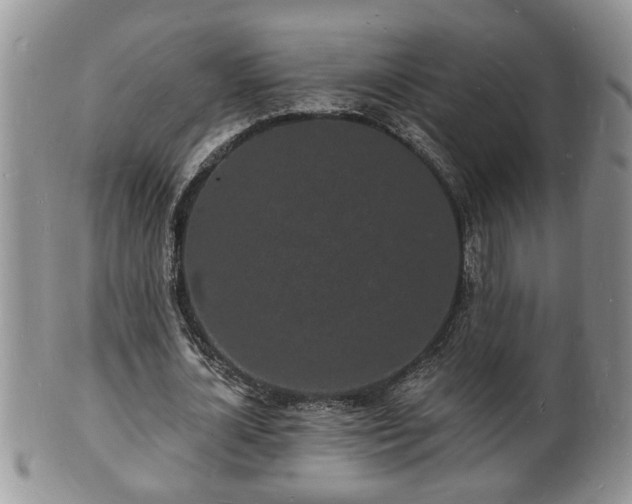 X0000102220724200808011201