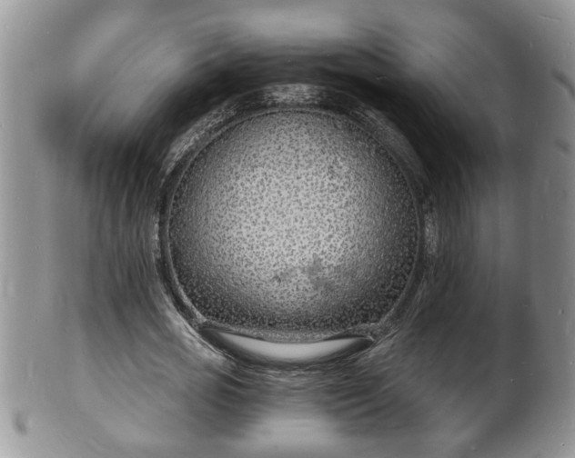 X0000102220725200808011201