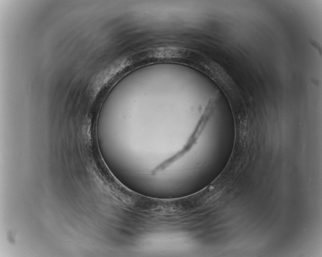 X0000102220727200808011201