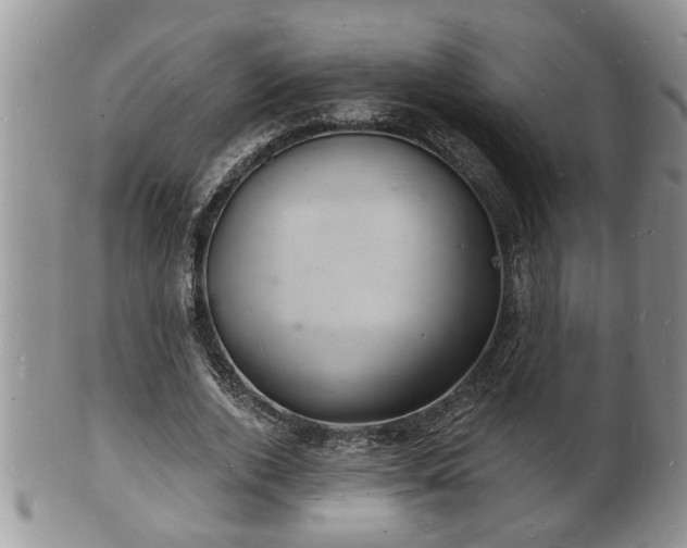 X0000102220728200808011201