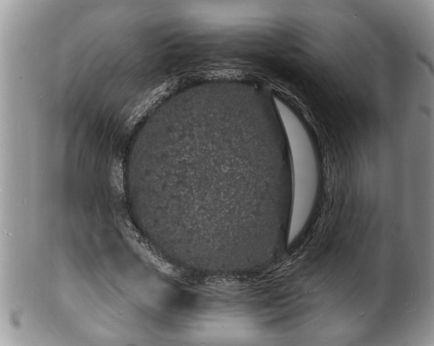 X0000102220729200808011201