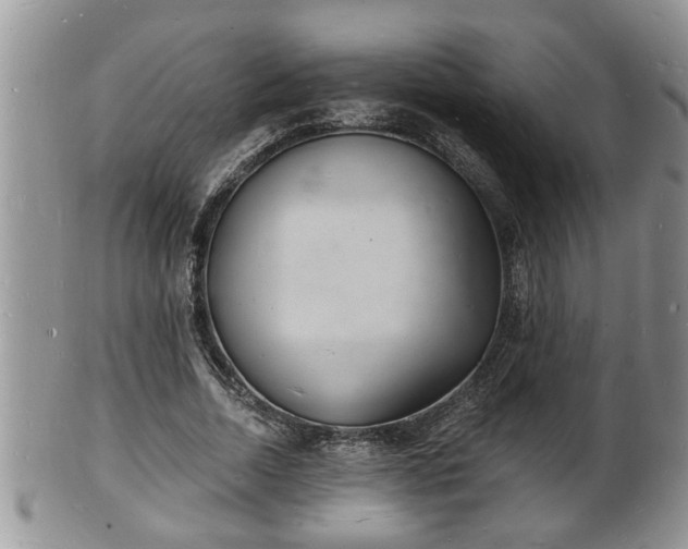 X0000102220730200808011201