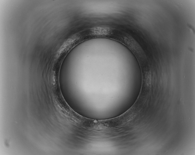 X0000102220731200808011201