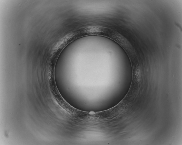 X0000102220732200808011201