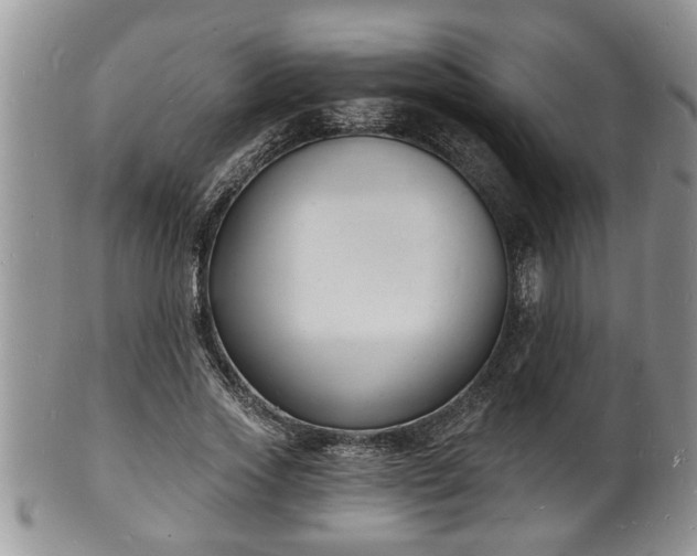 X0000102220733200808011202