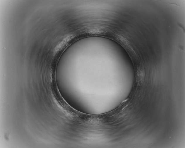 X0000102220734200808011202