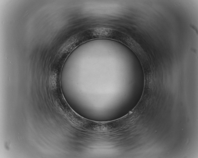 X0000102220735200808011202