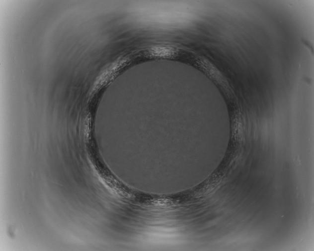 X0000102220736200808011202