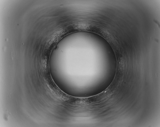 X0000102220739200808011202