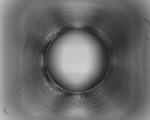 X0000102220740200808011202