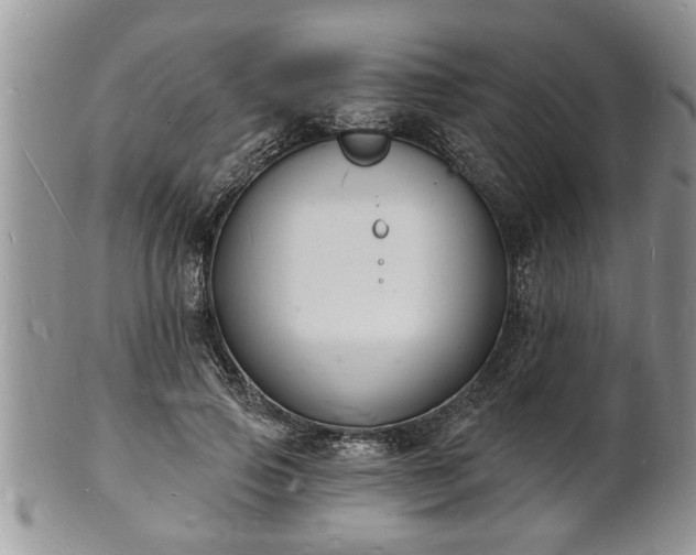 X0000102220741200808011202