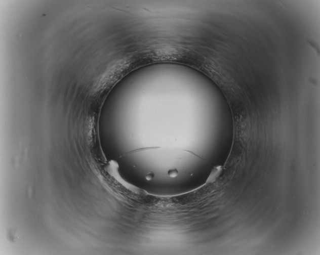 X0000102220742200808011202