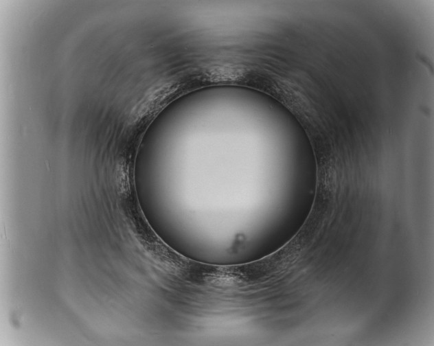 X0000102220743200808011202